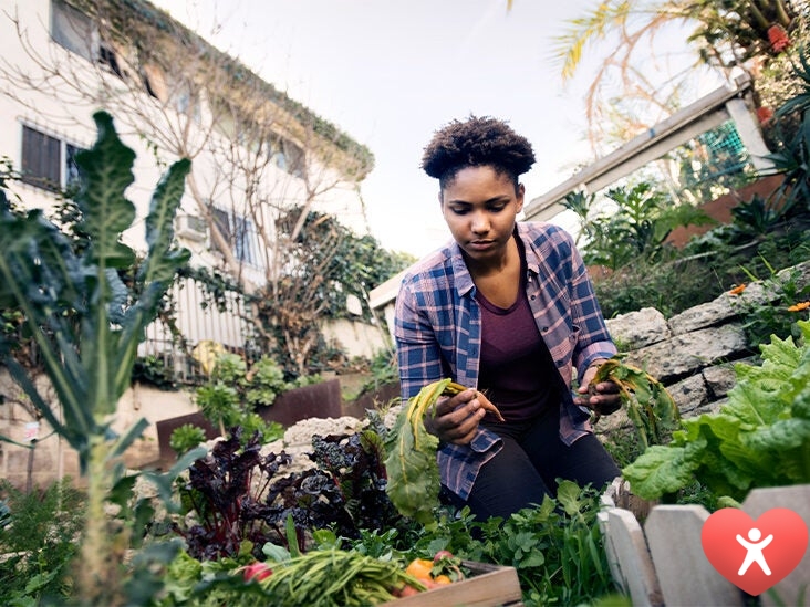 How to Be an Ethical Omnivore
