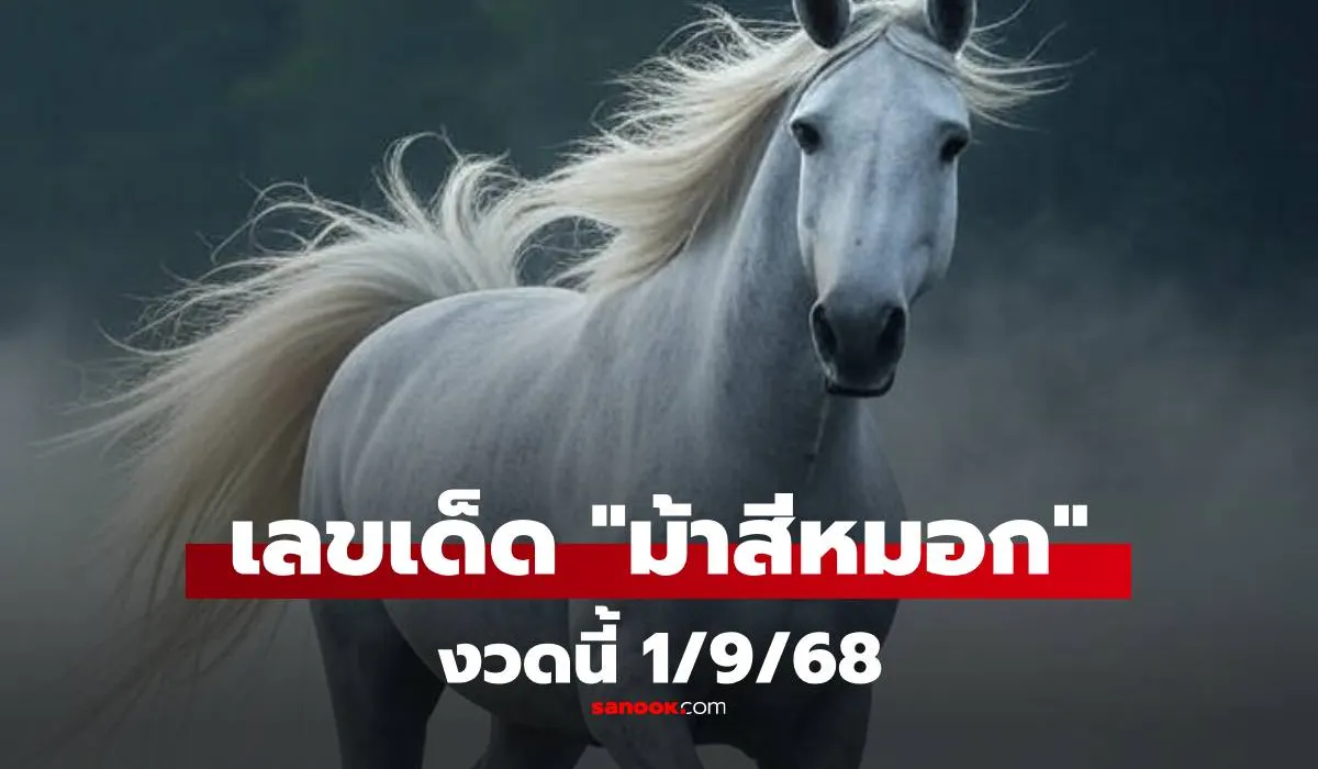 เลขเด็ดจากม้าหมอก