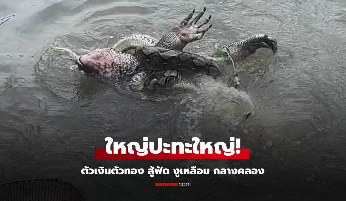 ตัวเลขนำโชคจากตัวเงินตัวทอง