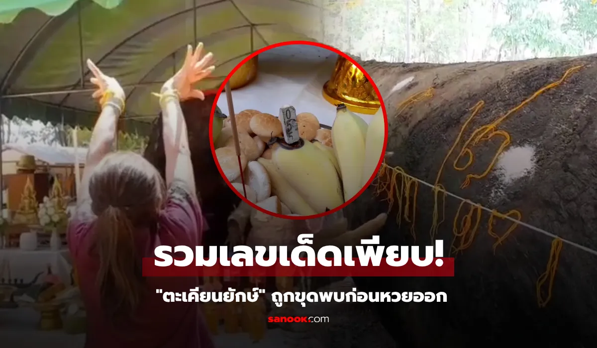 เลขเด็ดจากต้นตะเคียนยักษ์