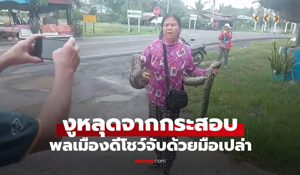 ตัวเลขนำโชคจาก Python