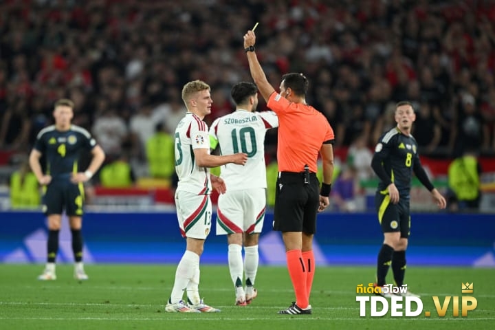 Andras Schafer, Facundo Tello