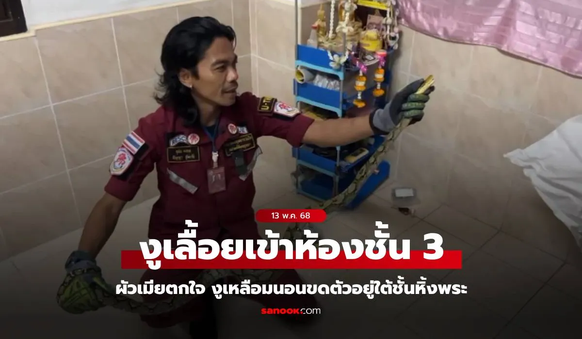 เลขเด็ดงูเหลือมเข้าบ้าน