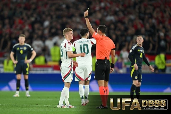 Andras Schafer, Facundo Tello